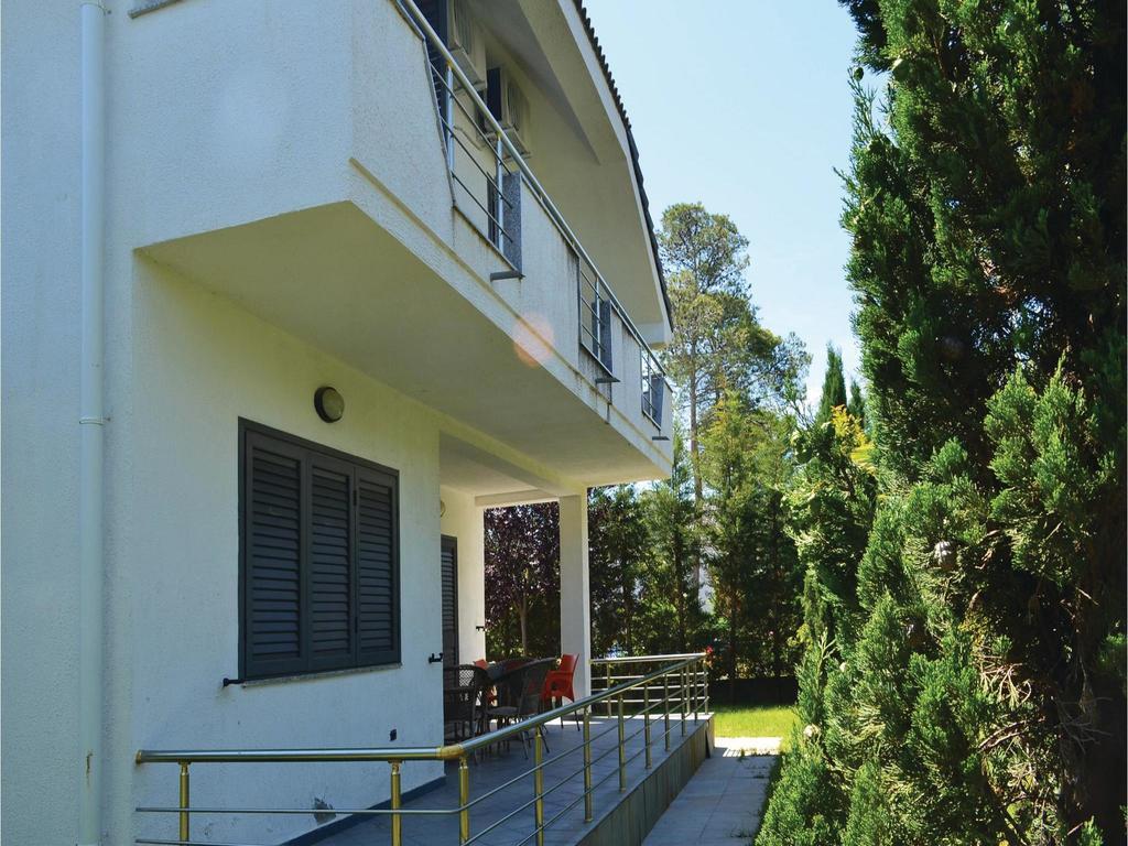 Holiday Home Pishat E Buta 28 Голем Экстерьер фото
